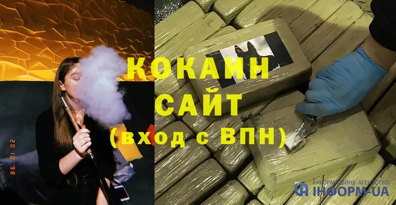 где купить наркотик  Сорск  Cocaine Fish Scale 